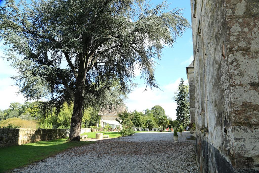 Chateau De Courtebotte Saint-Jean-de-Blaignac Exteriör bild